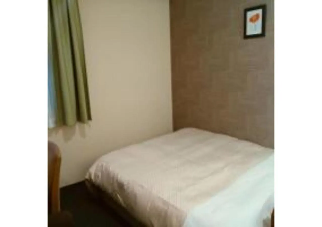 Ueno First City Hotel Tokyo