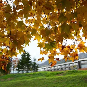 https://furano-hotel.hokkaidohotelsjapan.com